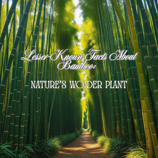 Lesser-Known Facts About Bamboo: Nature’s Wonder Plant