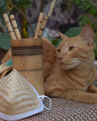 Embrace eco-living with Silpakarman: 5 Simple ways to make a difference