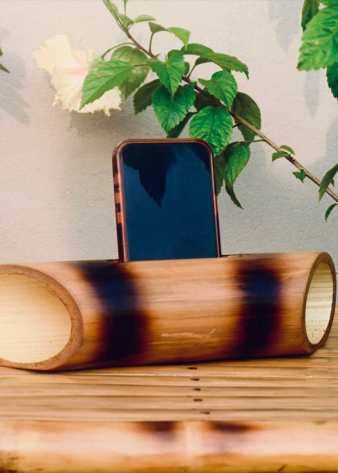 The Beauty of a Passive Bamboo Amplifier: Simple, Natural, Functional