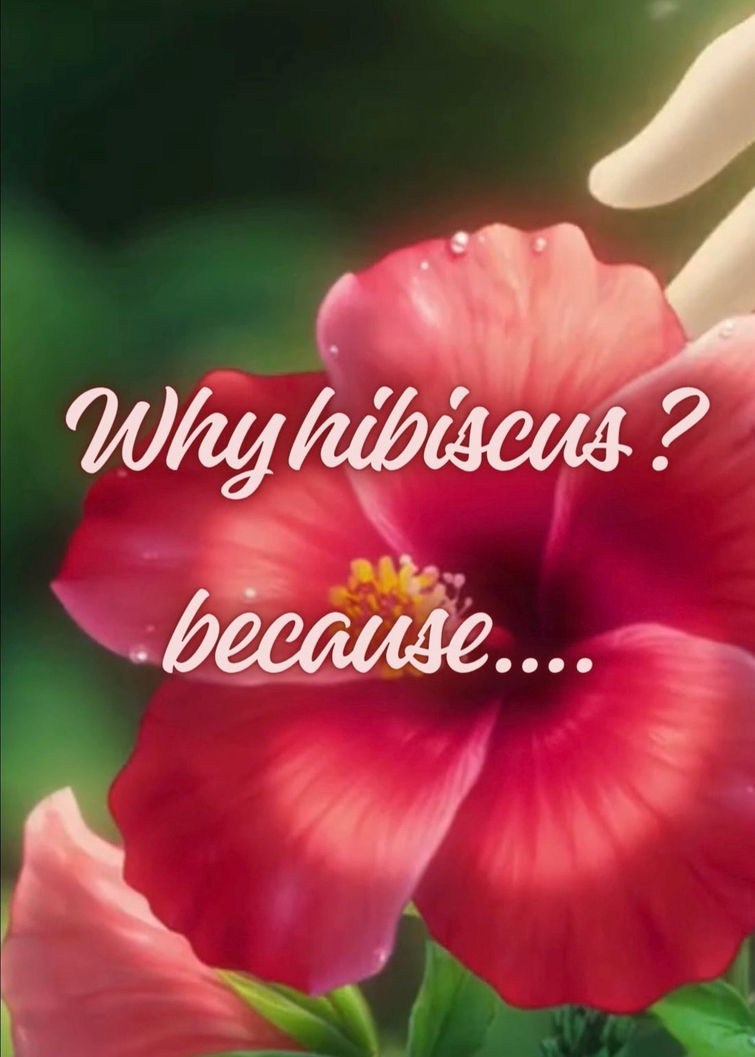 Why Bamboo Leaves Tea with Hibiscus Is Such a Powerful Blend