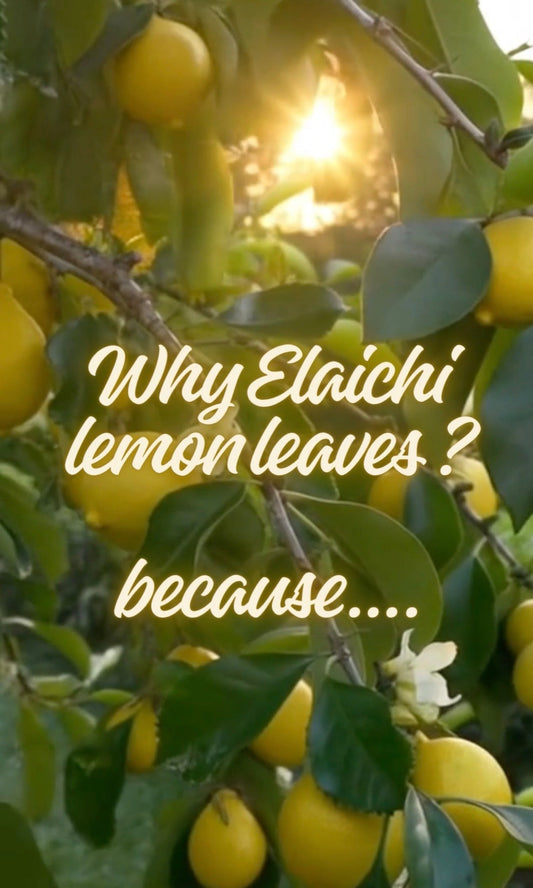 Why Elaichi Lemon Leaves Make Bamboo Tea Magical