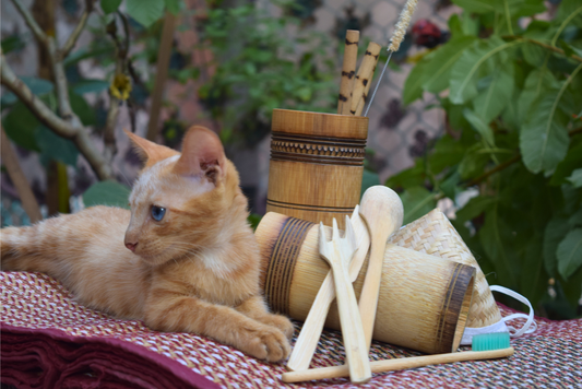 Is Bamboo Safe for Pets?